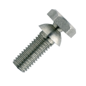 Shear Bolts